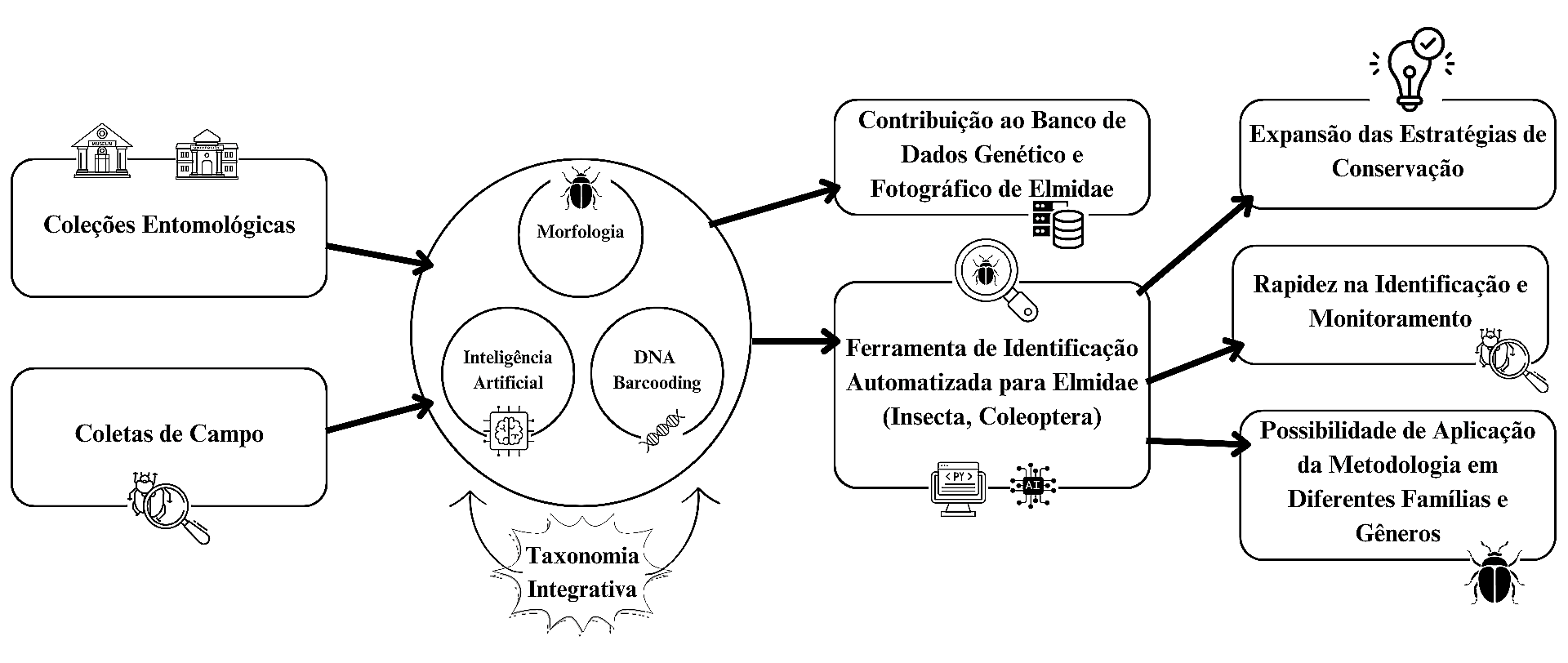Elmidae Workflow